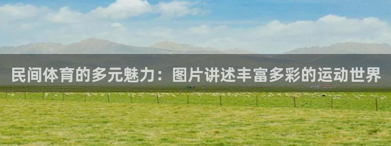 vsport体育在线官网：民间体育的多元魅力：图片讲述丰富多彩的运动世界