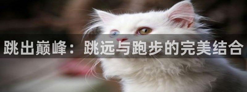 vsport体育：跳出巅峰：跳远与跑步的完美结合