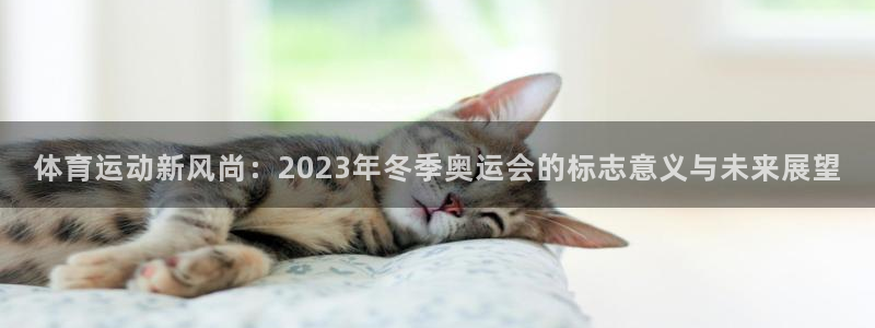 vsport体育在线官网：体育运动新风尚：2023年冬季奥运会的标志意义与未来展望