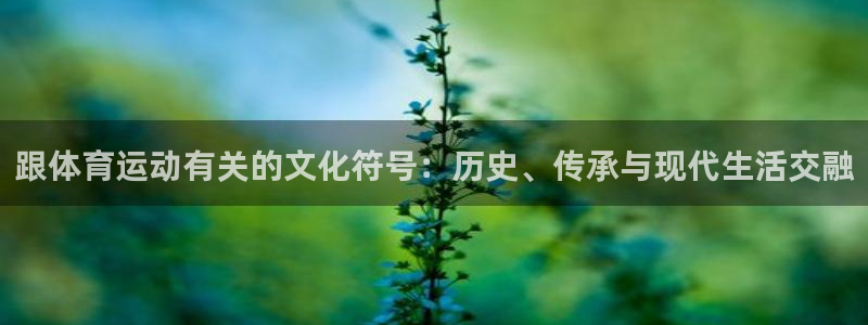 vsport体育在线官网：跟体育运动有关的文化符号：历史、传承与现代生活交融