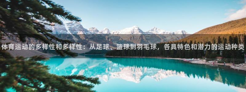 vsport体育：体育运动的多样性和多样性：从足球、篮球到羽毛球，各具特色和潜力的运动种类