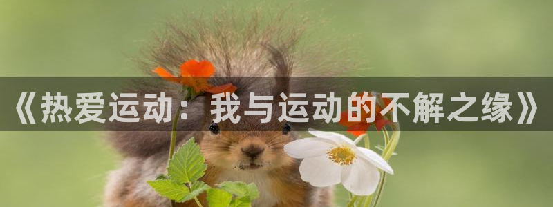 vsport体育：《热爱运动：我与运动的不解之缘》