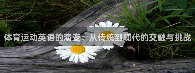 vsport体育在线官网：体育运动英语的演变：从传统到现代的交融与挑战