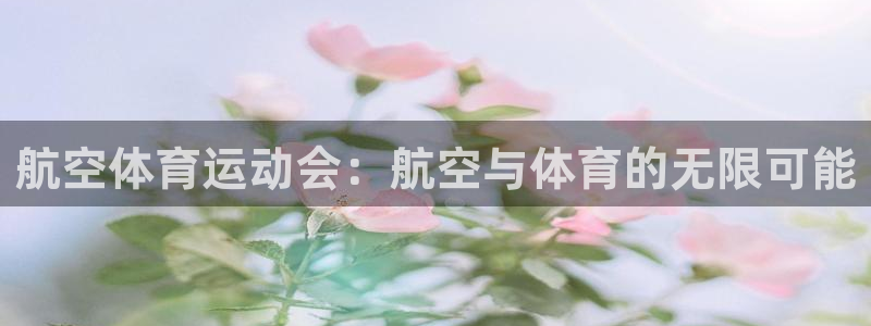 vsport体育：航空体育运动会：航空与体育的无限可能