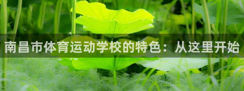 vsport体育：南昌市体育运动学校的特色：从这里开始