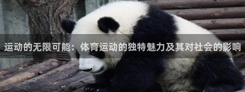 vsport体育：运动的无限可能：体育运动的独特魅力及其对社会的影响