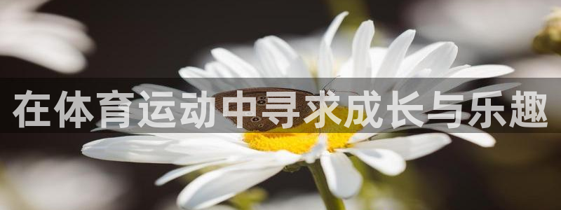 vsport体育：在体育运动中寻求成长与乐趣